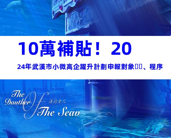 10萬補貼！2024年武漢市小微高企躍升計劃申報對象、程序